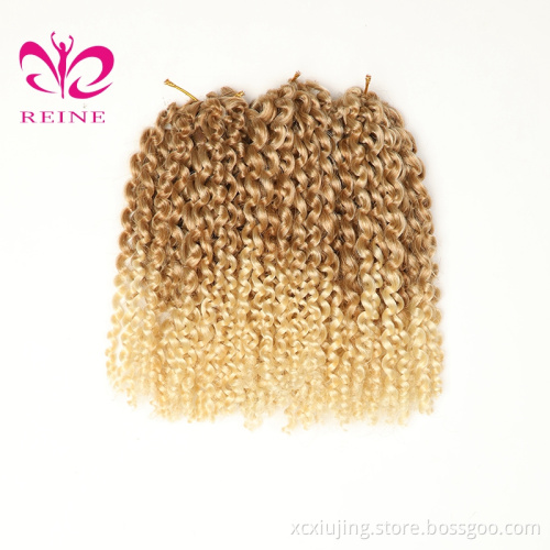 Reine Hot Sale Wholesale Mali Bob Crochet Braid Synthetic Small Afro Curly Hairstyle Mali Bob Hair Extension